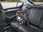 Η Skoda σκέφτεται και τους… σκύλους!