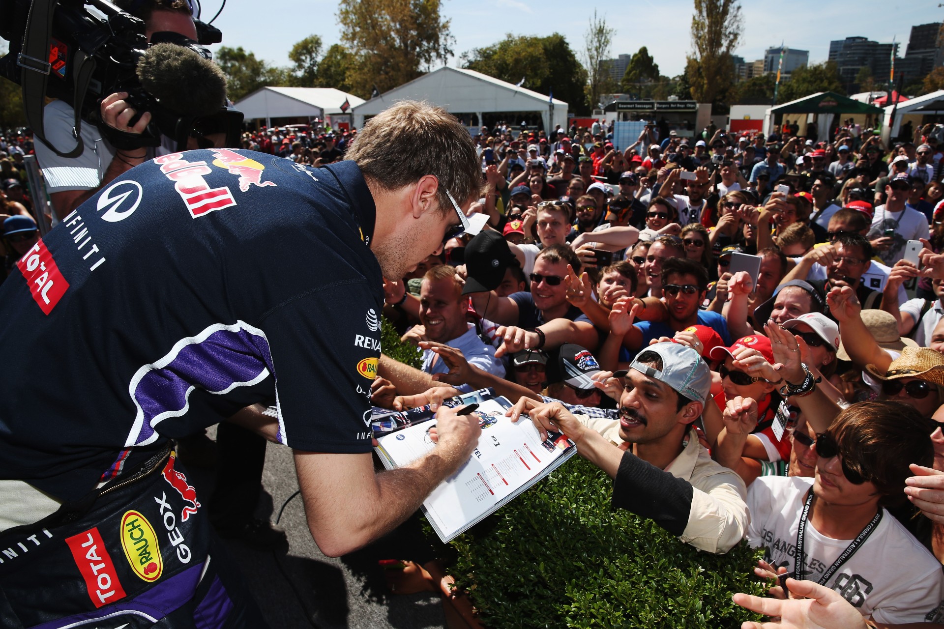 The anatomy of the F1 fan