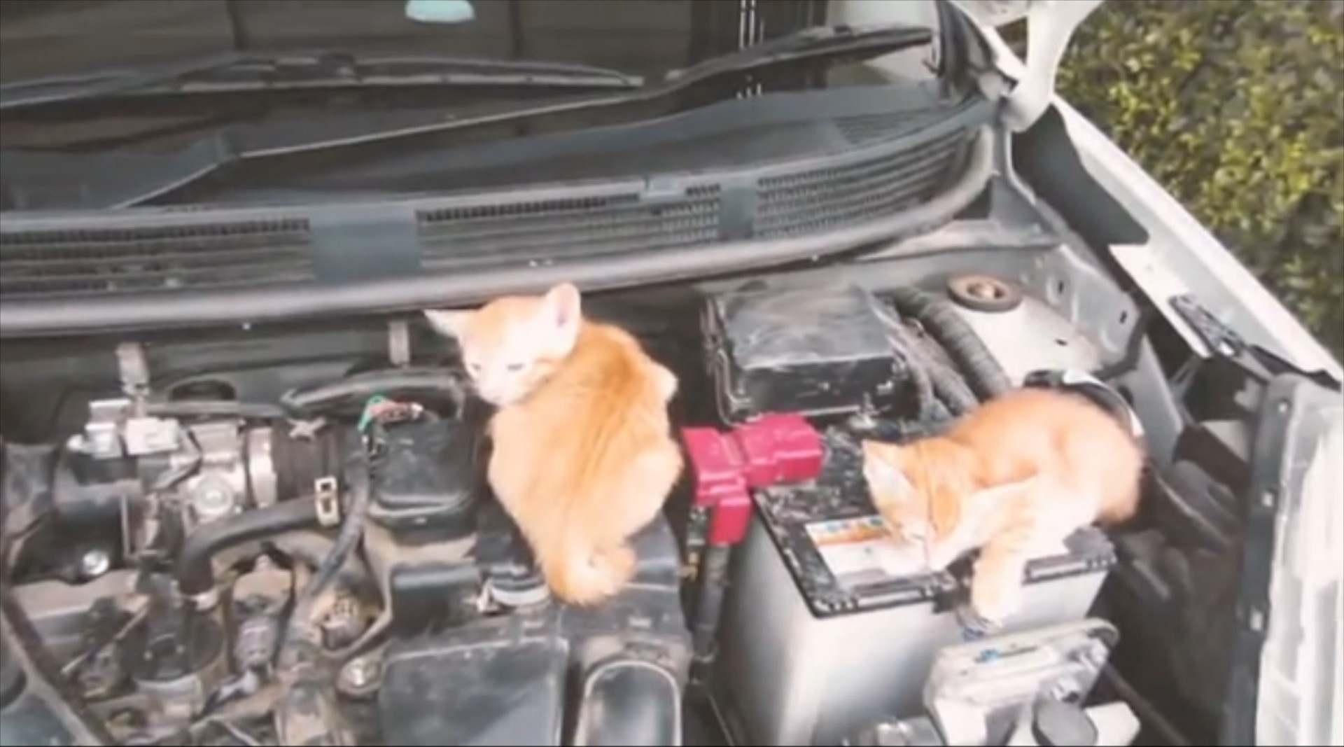 Κτύπα το καπό πριν βάλεις μπροστά
