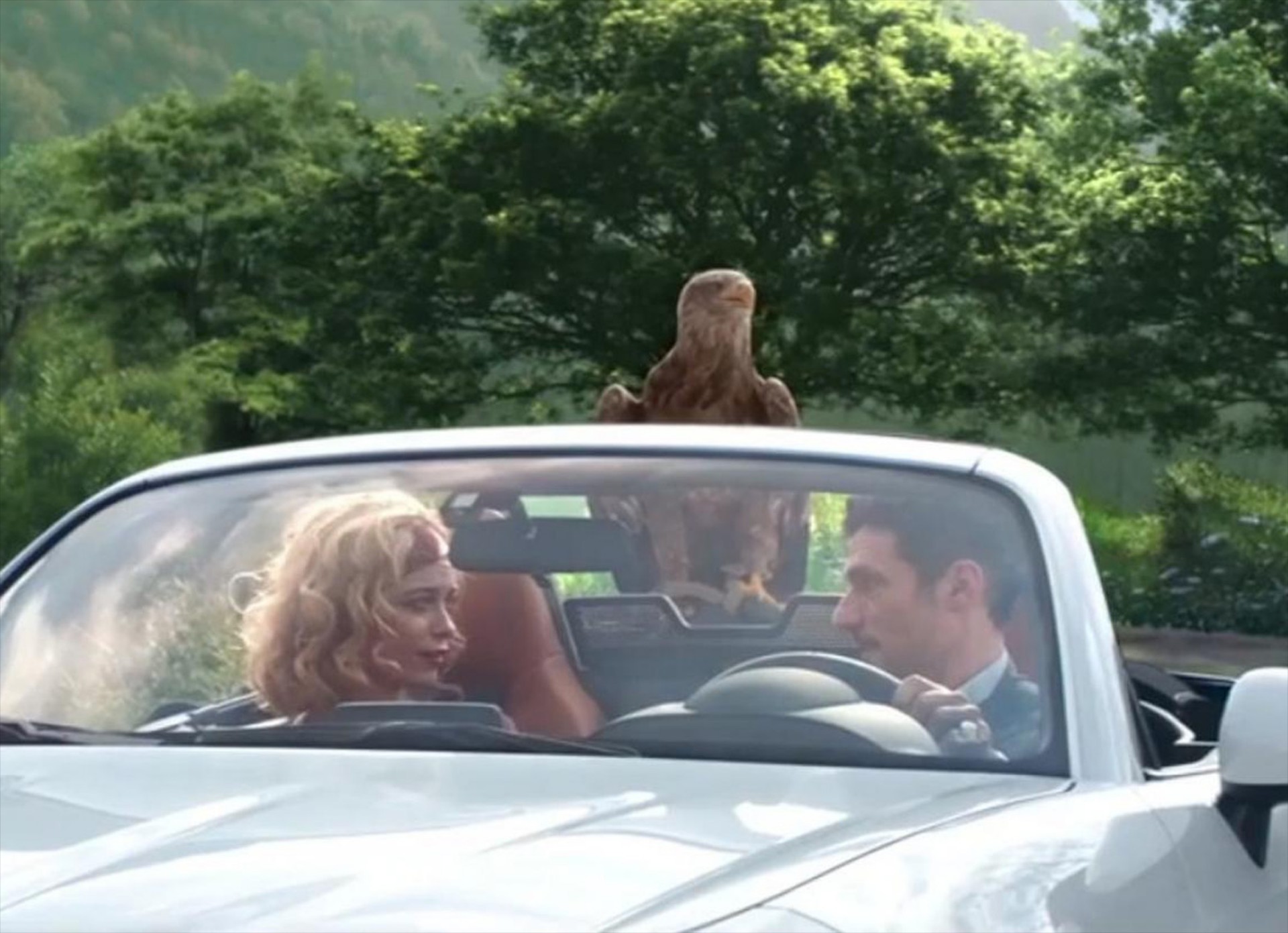 Αετός προσγειώνεται επάνω στο Fiat 124 Spider (video)