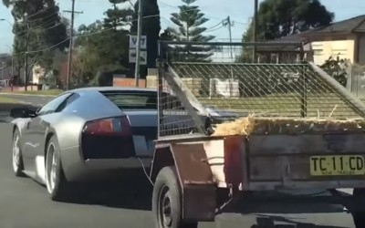Supercar με τρέιλερ γεμάτο… κατσικάκια (video)