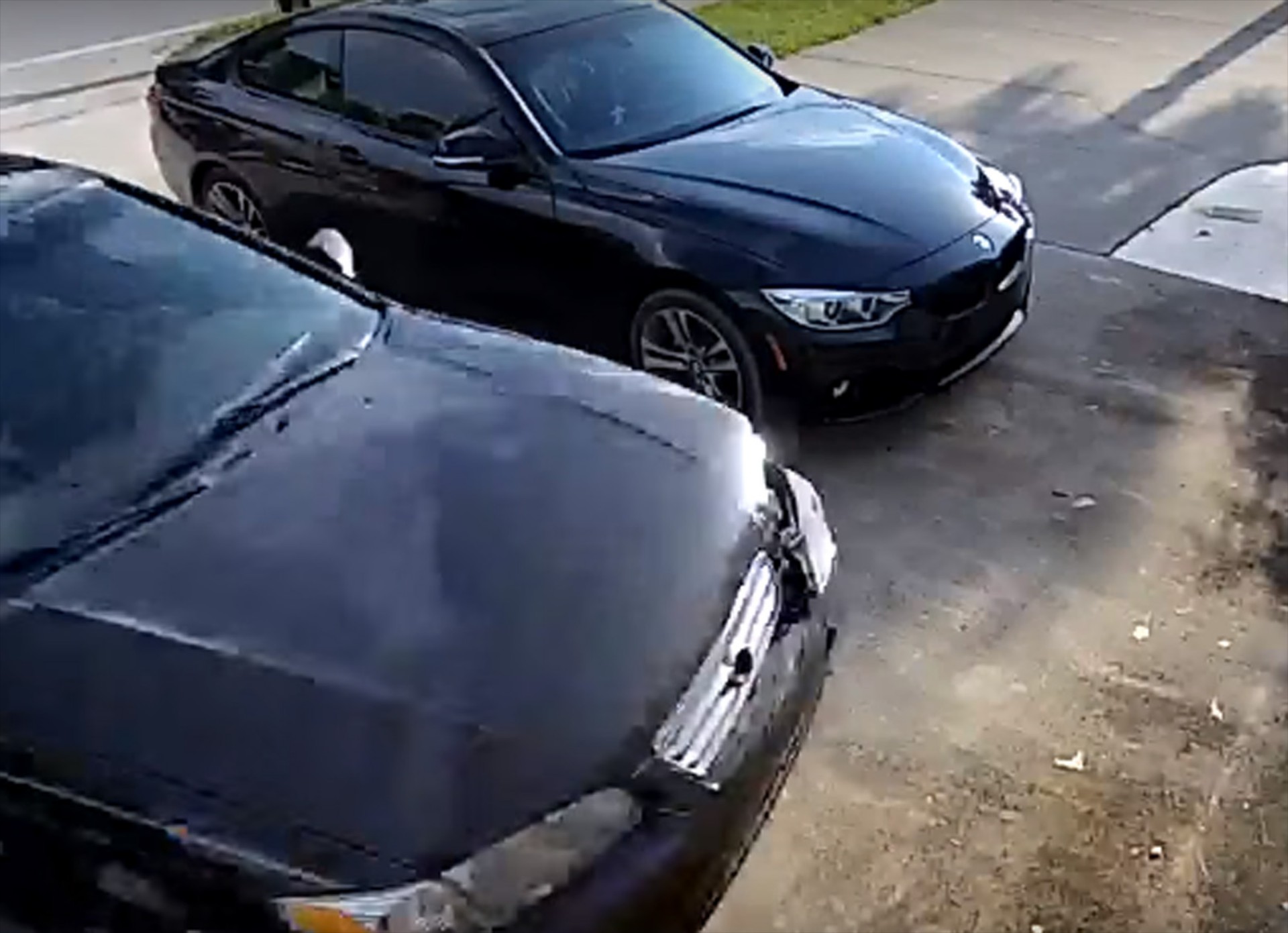 Το’ χάσε και… μπήκε μέσα στο γκαράζ (video)