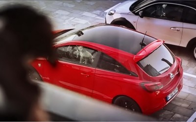 Έρωτας με την πρώτη ματιά!