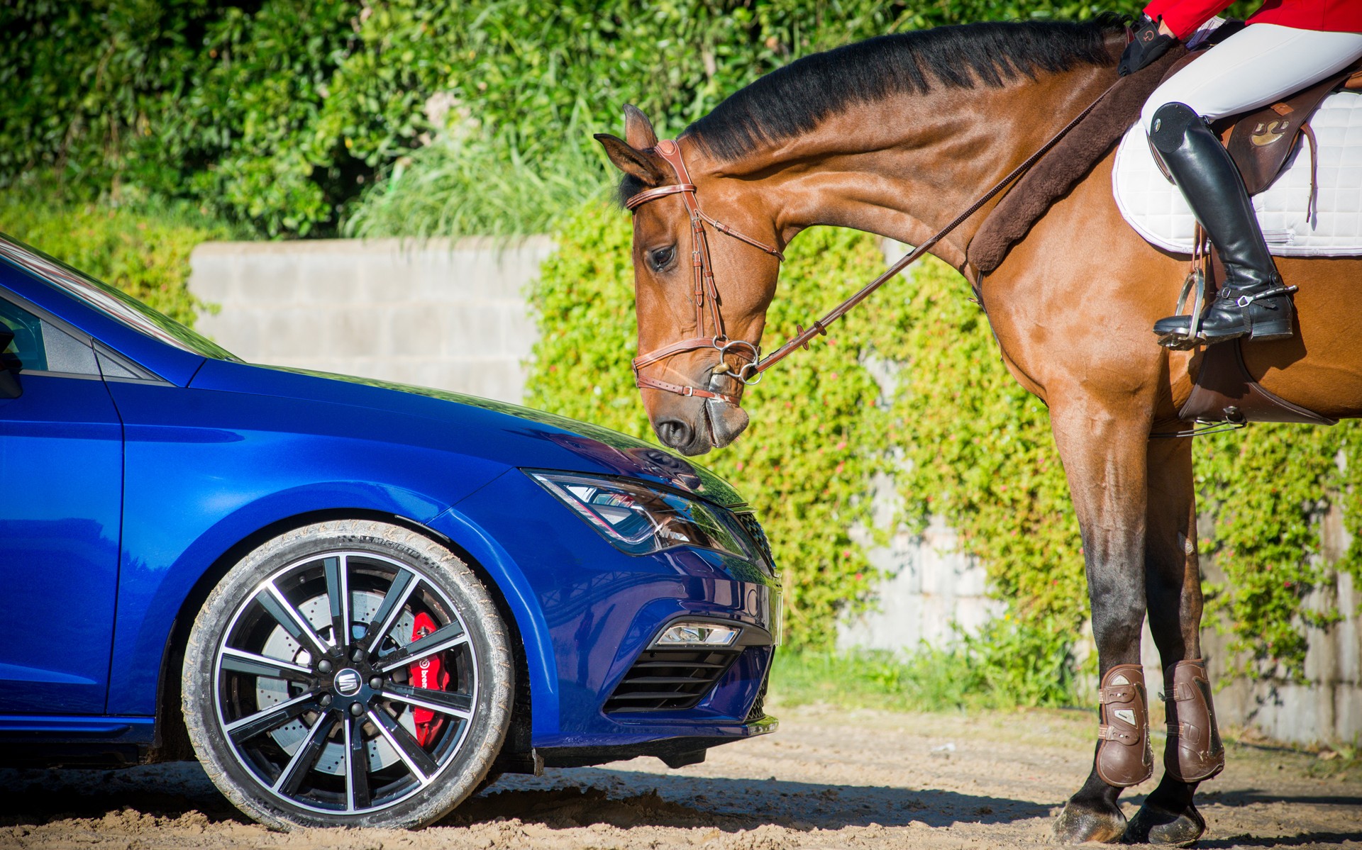 Ένα άλογο εναντίον… 300 (video)