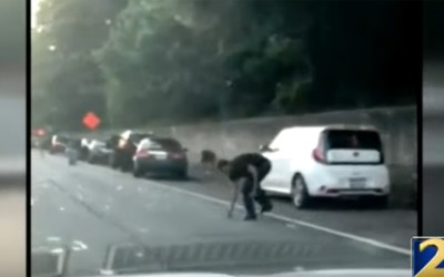 “Βρέχει” δολάρια και οι οδηγοί σταματούν για να μαζέψουν όσα περισσότερα μπορούν (vid)