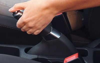 “Είδος υπό εξαφάνιση