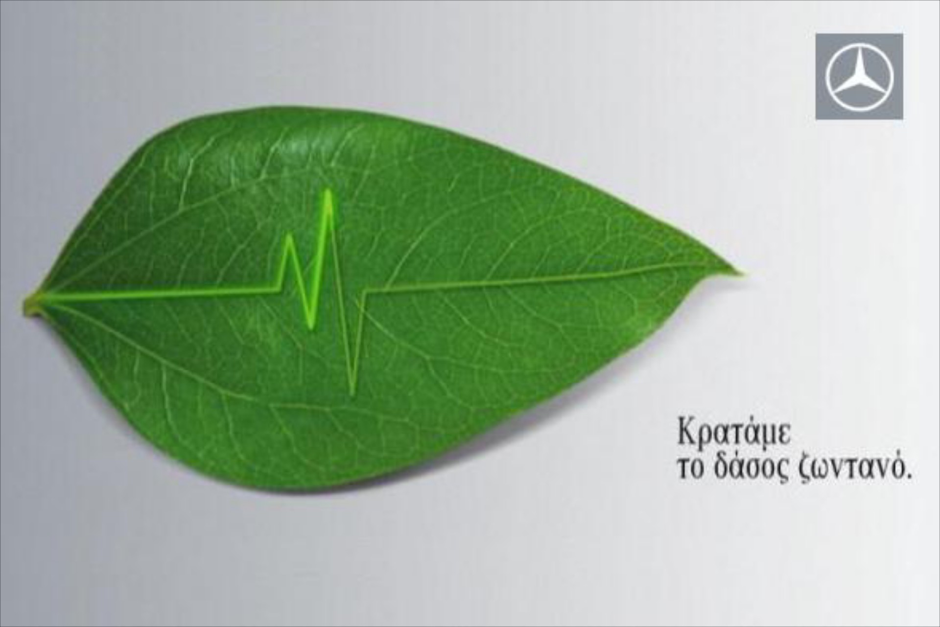 MERCEDES-BENZ Ελλάς: Κρατάμε το δάσος ζωντανό