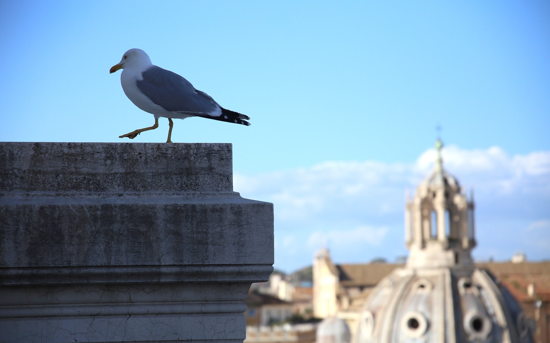 #500NatureChallenge: Η καμπάνια της Fiat για την Ημέρα της Γης (vid)