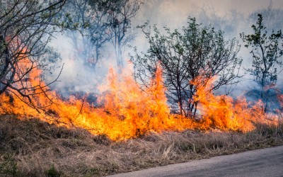 Τι κάνω όταν δω πυρκαγιά στο δρόμο;