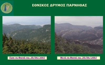 Σε 100 χρόνια θα ξαναγίνει όπως ήταν η Πάρνηθα