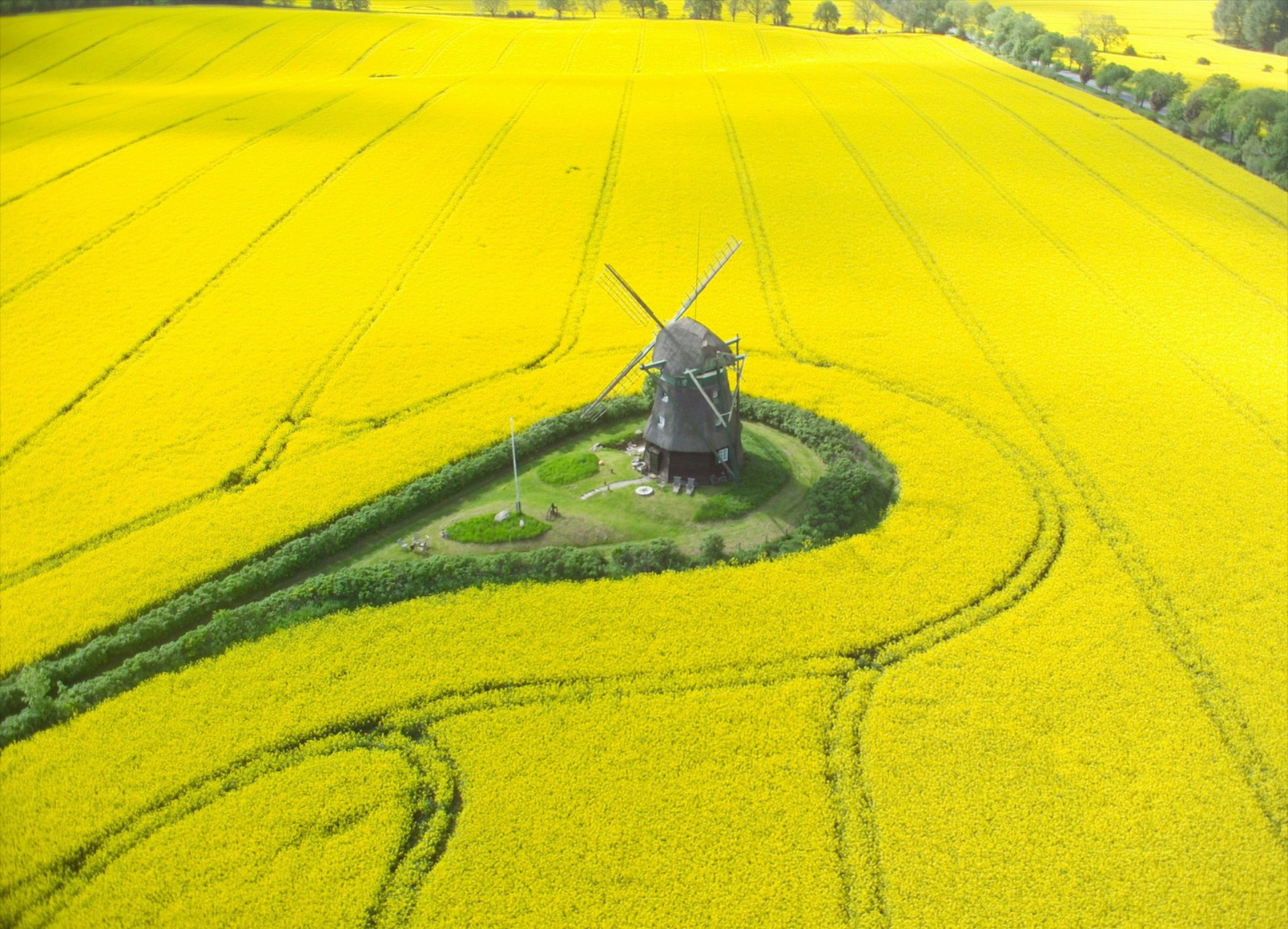 164.000 χιλιολίτρα αυτούσιου βιοντίζελ στην ελληνική αγορά