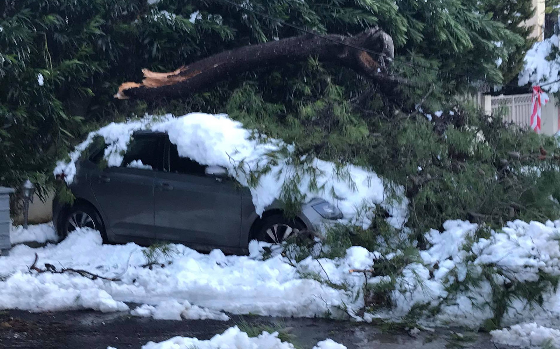 Δέντρο πάνω στο αυτοκίνητό μου: Η αστική ευθύνη του Δήμου