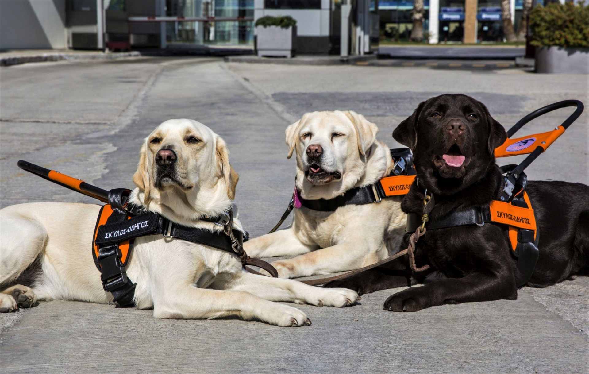 Ο Όμιλος Σαρακάκη φροντίζει όλους τους οδηγούς