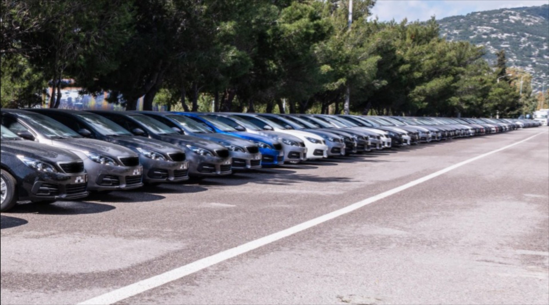 141 νέα αυτοκίνητα για την Ελληνική Αστυνομία - Τι μάρκα είναι