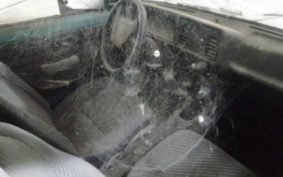 Η φάρμα στην Βραζιλία που φιλοξενεί 60 παρατημένα ταξί