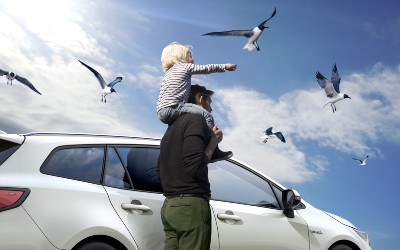 Το νέο υβριδικό Suzuki με το τεράστιο πορτμπαγκάζ των 596 λίτρων