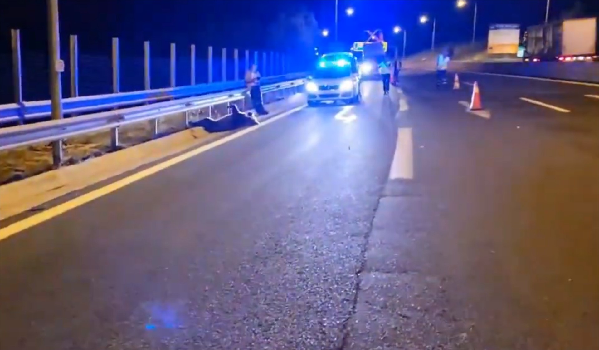 Αυτοκίνητο συγκρούστηκε με αρκούδα στην Εγνατία Οδό – Δείτε video