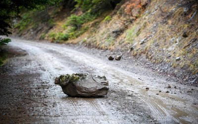 EKO Ράλλυ Ακρόπολις: Προσβάσεις Κυριακής 11/9