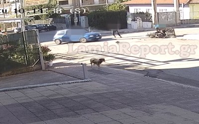 Αδιανόητο τροχαίο στη Λαμία: Χτύπησε τον ντελιβερά και μετά κυνηγούσε το ΙΧ [video]