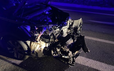 Δήμαρχος τράκαρε με αγριογούρουνο – Κομμάτια το αυτοκίνητο [φωτογραφίες]