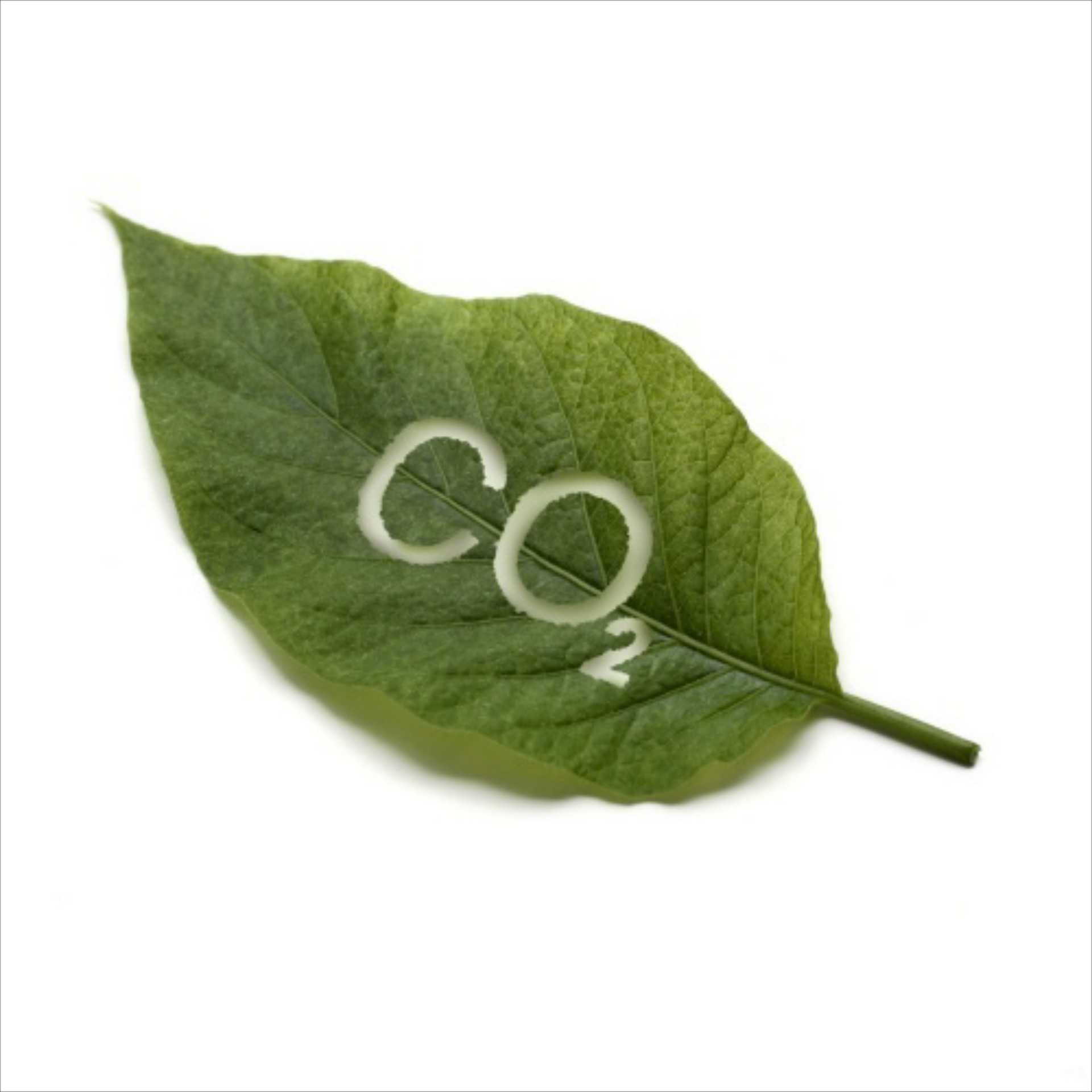 Ποια μοντέλα δεν πληρώνουν τέλη κυκλοφορίας;