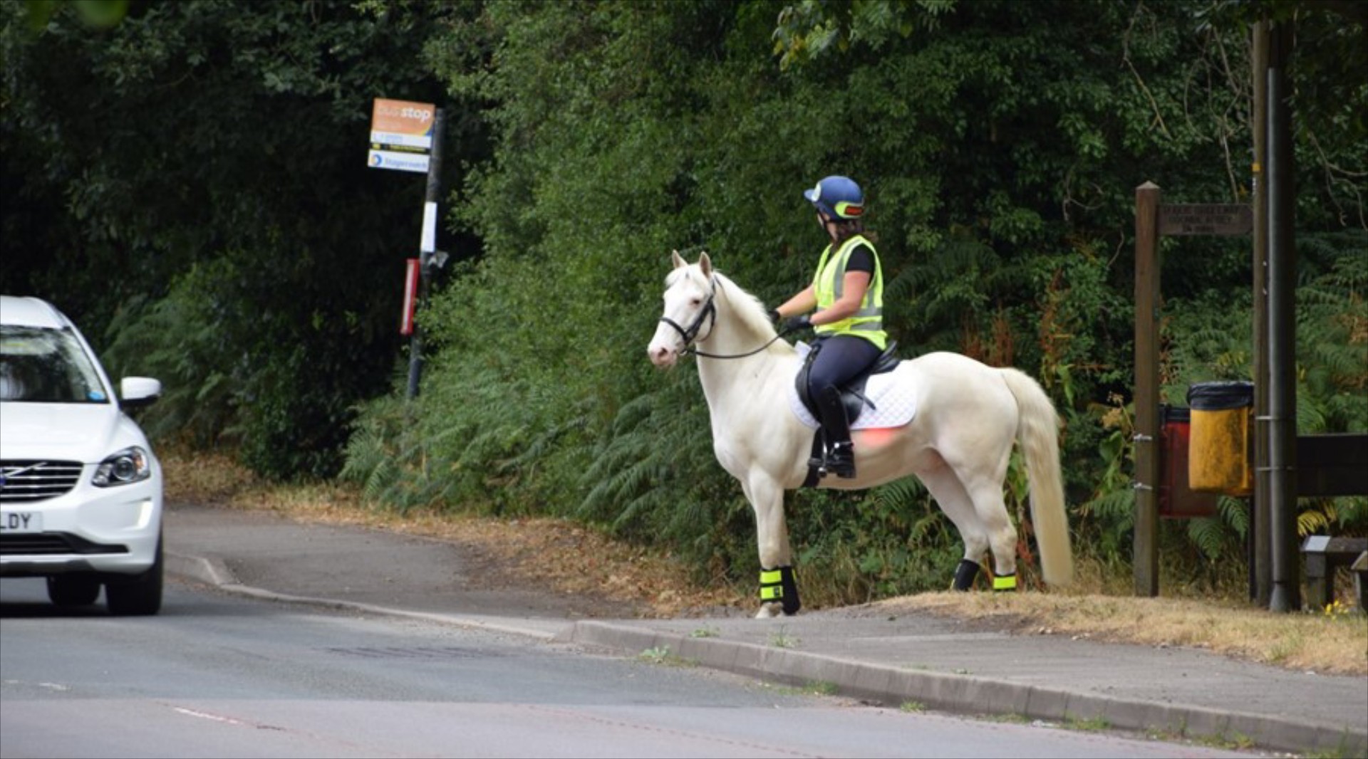Μπορώ να κυκλοφορώ με άλογο μέσα σε πόλη; - Τι λέει ο ΚΟΚ