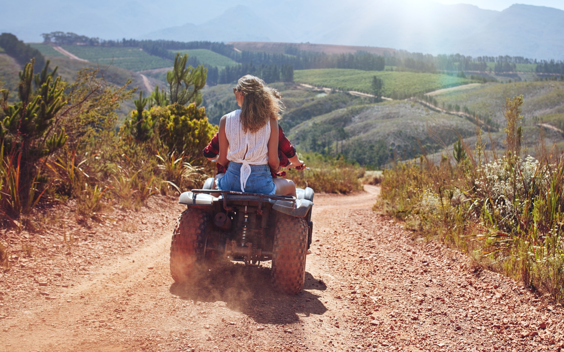 Επιτρέπεται η οδήγηση γουρούνας στον δρόμο; Γιατί υπάρχει πρόστιμο 200 ευρώ;