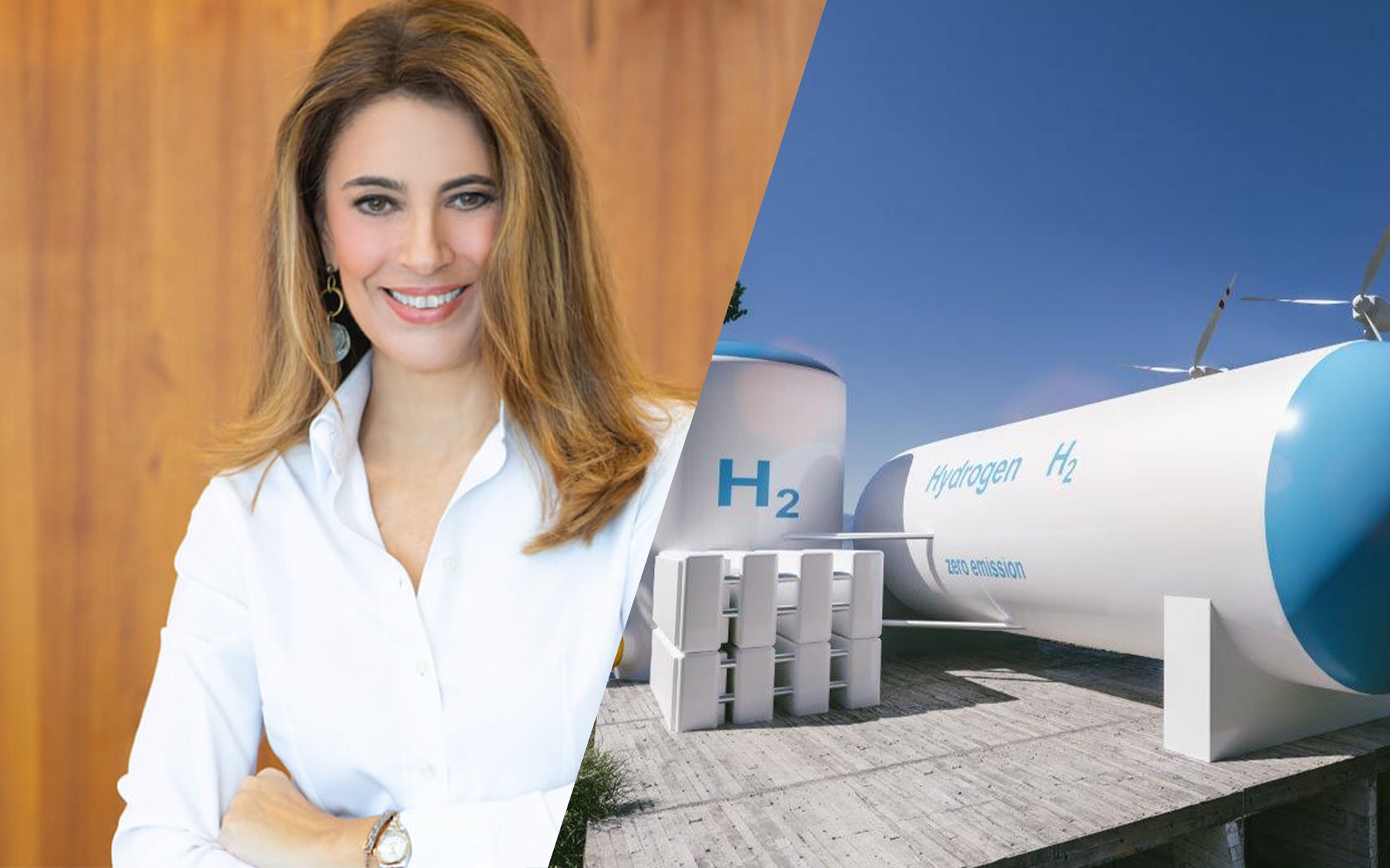 Μια Ελληνίδα στο τιμόνι του Fuels Europe – Τι θα γίνει με το υδρογόνο στην Ελλάδα 