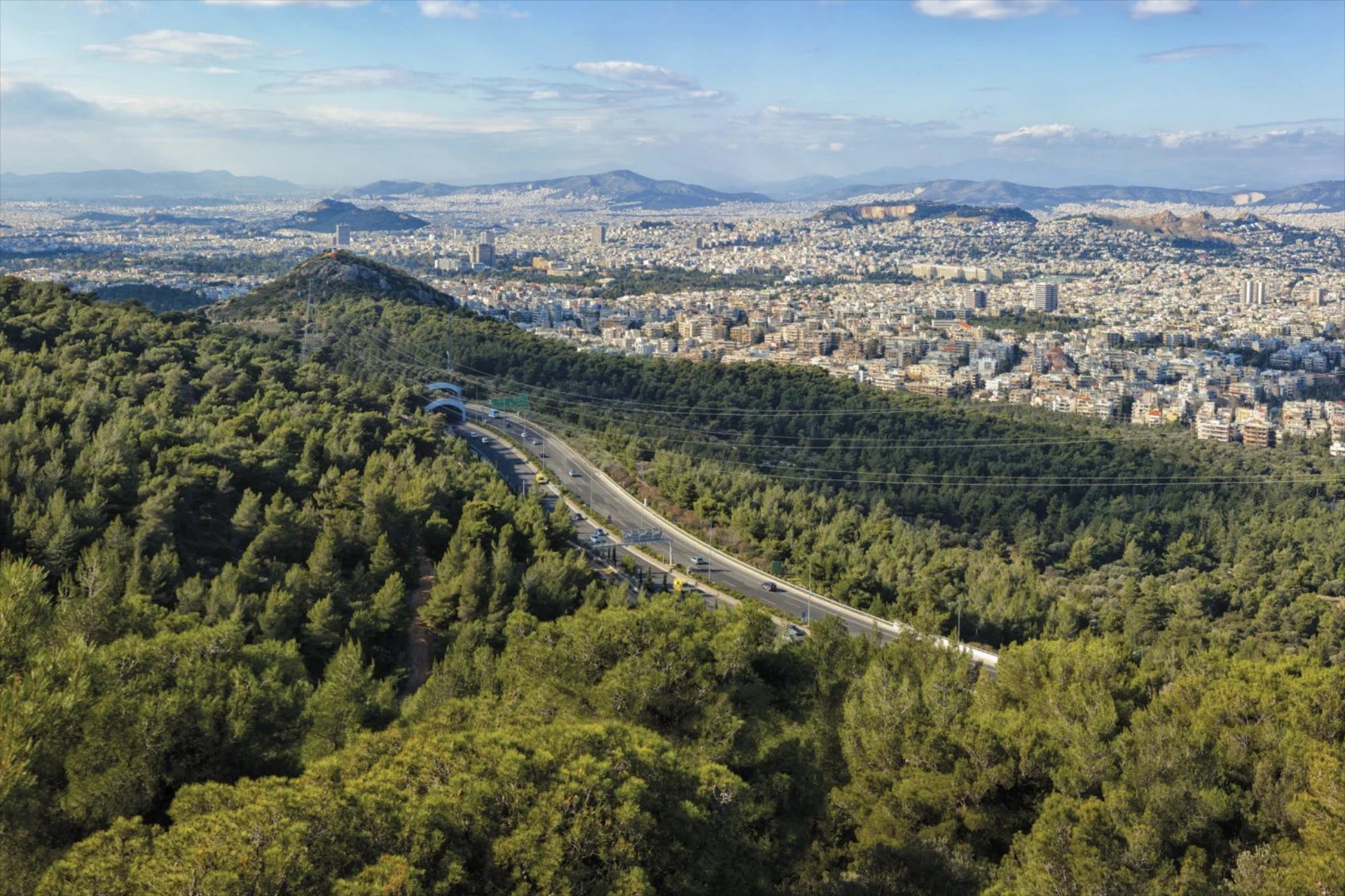 O δρόμος της Αττικής που έχει 800.000 δέντρα 