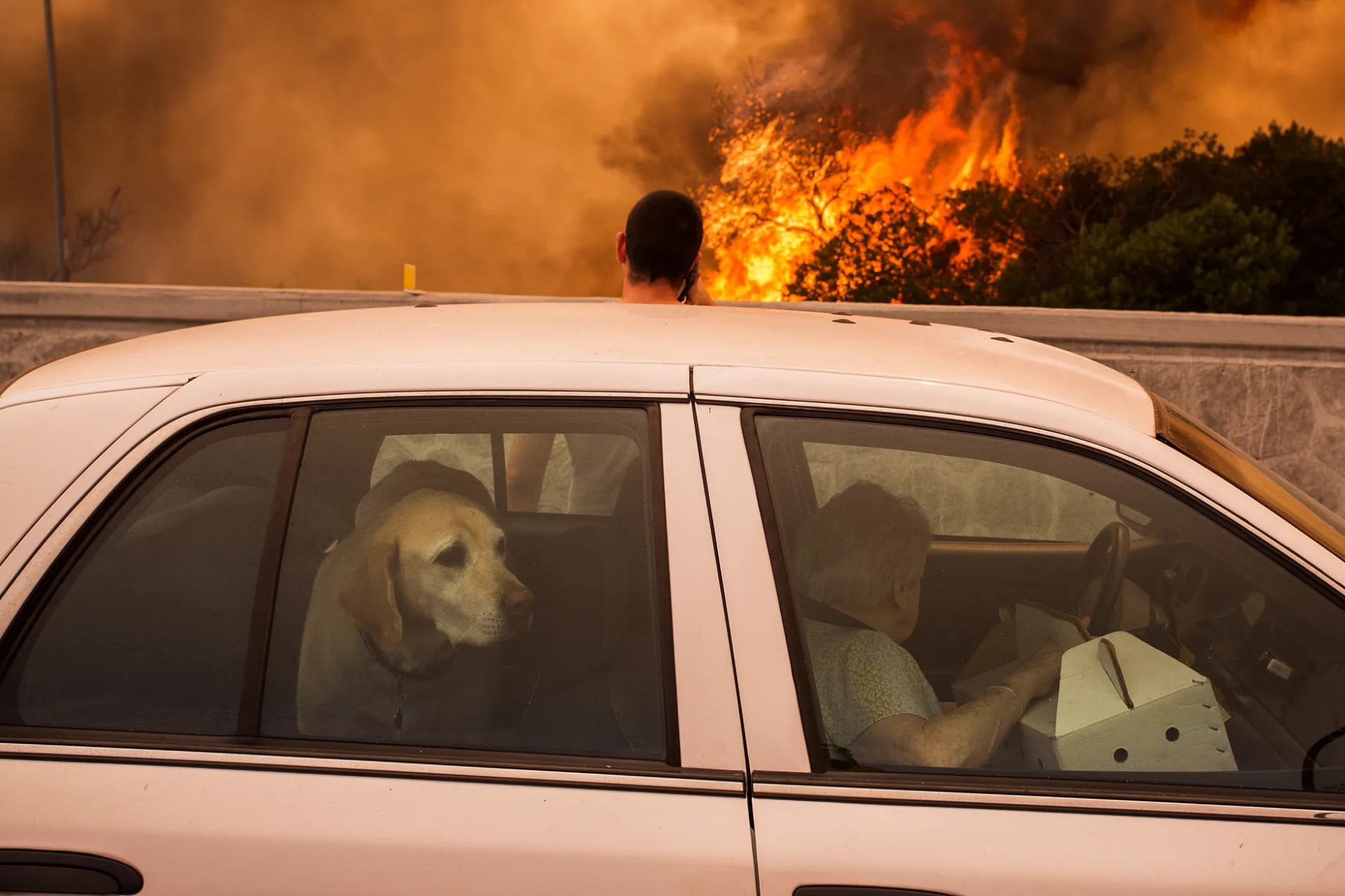 Φωτιές: Τι πρέπει να κάνεις αν δεις πυρκαγιά στον δρόμο; 