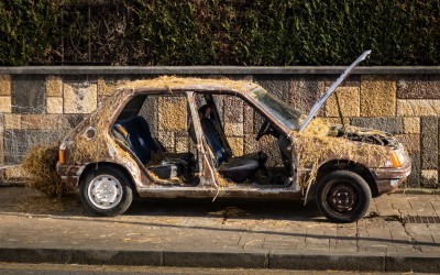 Οι αρουραίοι τρέφονται με αυτοκίνητα – Τεράστιο πρόβλημα σε πολλές πόλεις