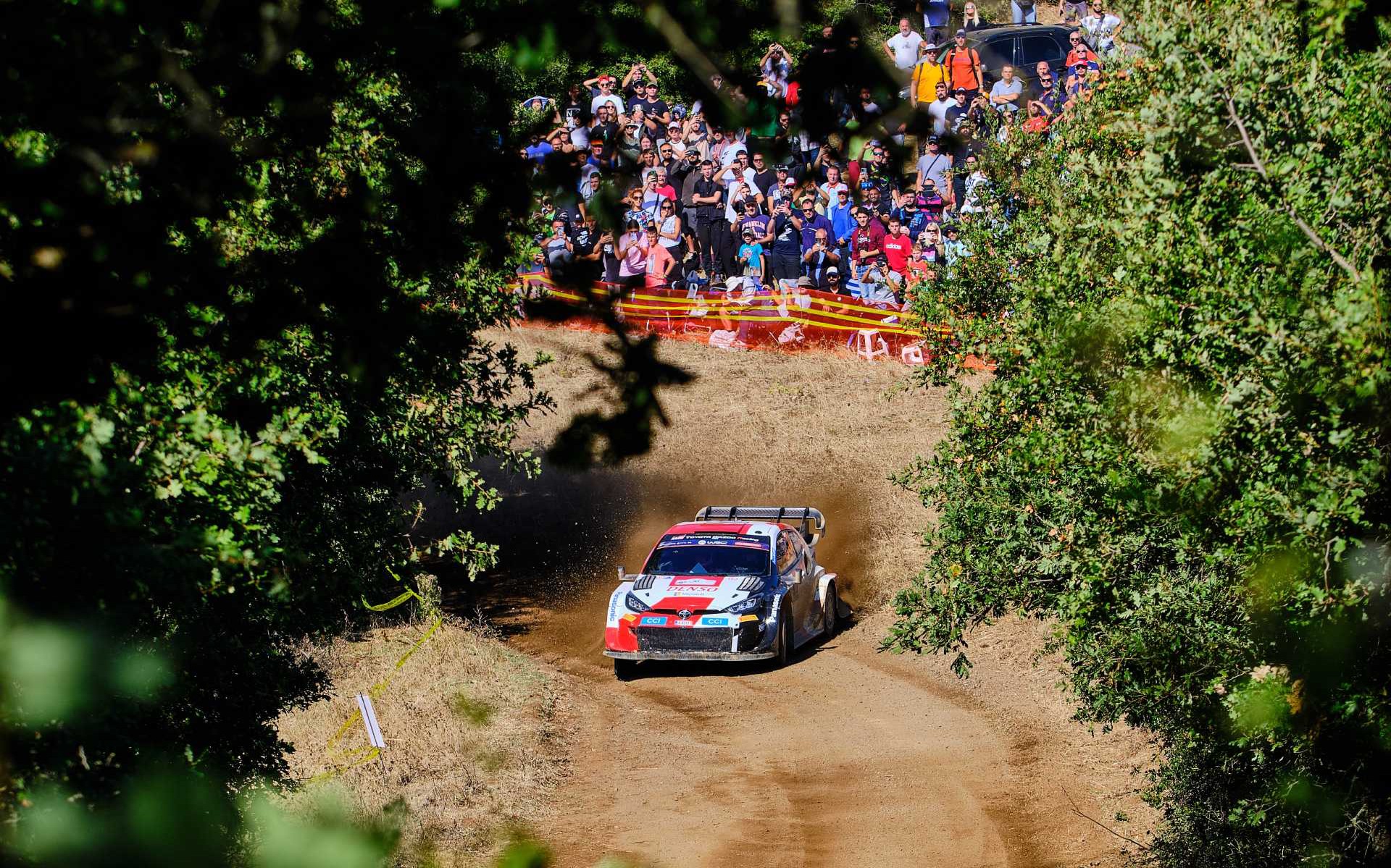 Προσβάσεις Ειδικών Διαδρομών – Δάφνη