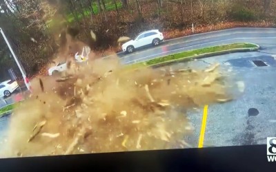 Η στιγμή του 1 εκατομμυρίου – Δέντρο διαλύει σαν καρυδότσουφλο μεγάλο SUV [video] 