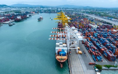 To μεγαλύτερο φορτίο κλεμμένων οχημάτων που κατασχέθηκε ποτέ – Άνω των 40 εκατ. η αξία του