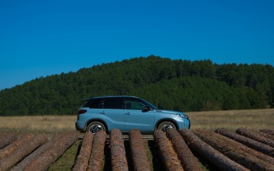 Top 10 Μοντέλα 1 – 7 Δεκεμβρίου