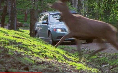 Volvo: Σύστημα αποφυγής σύγκρουσης με ζώα

