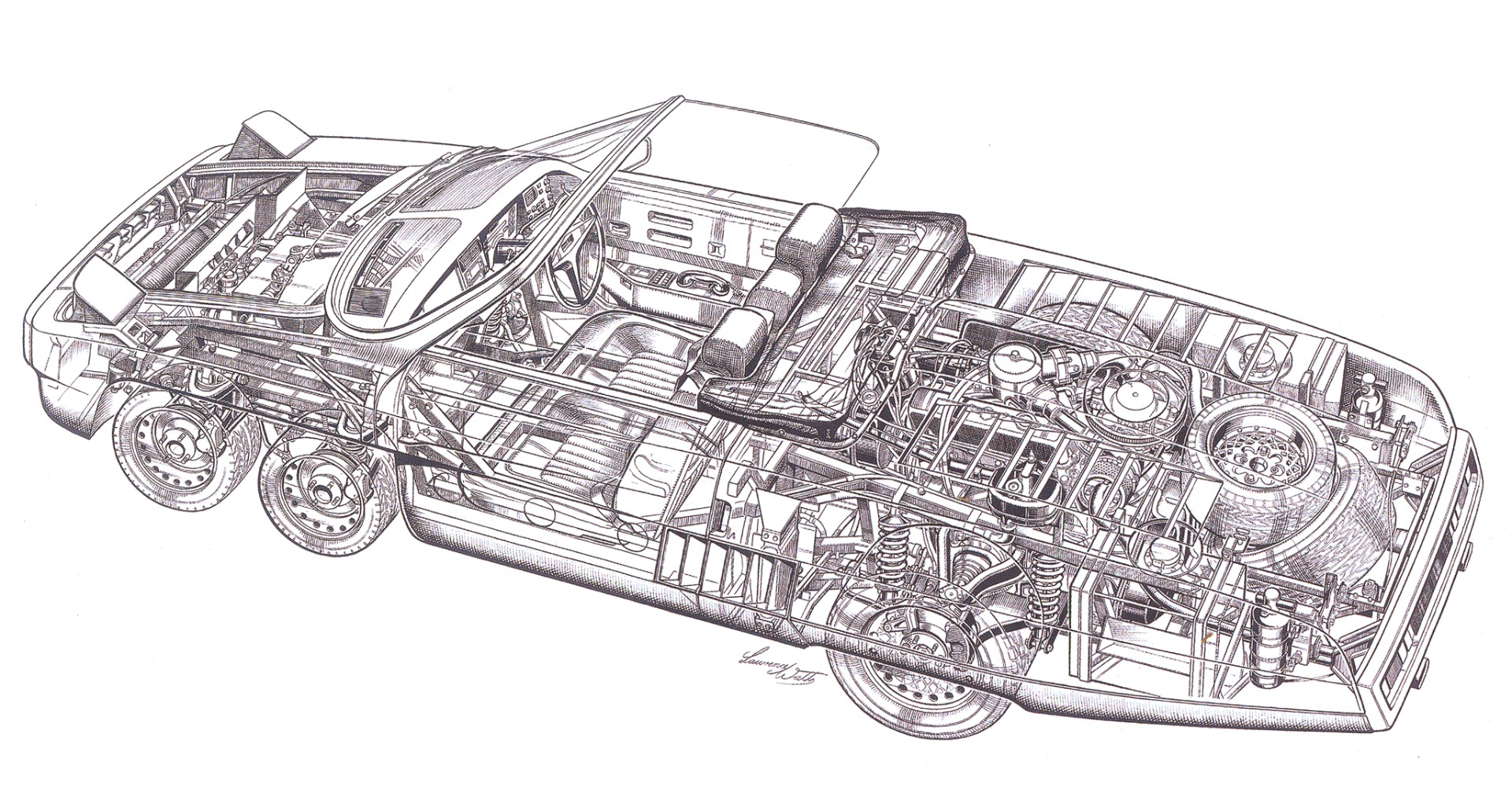 Panther 6