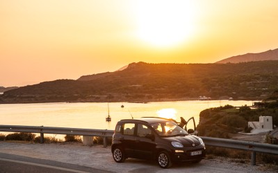 Διακοπές για Panda στην πόλη…