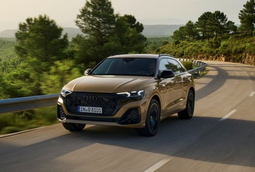 AUDI Q8 (2024)