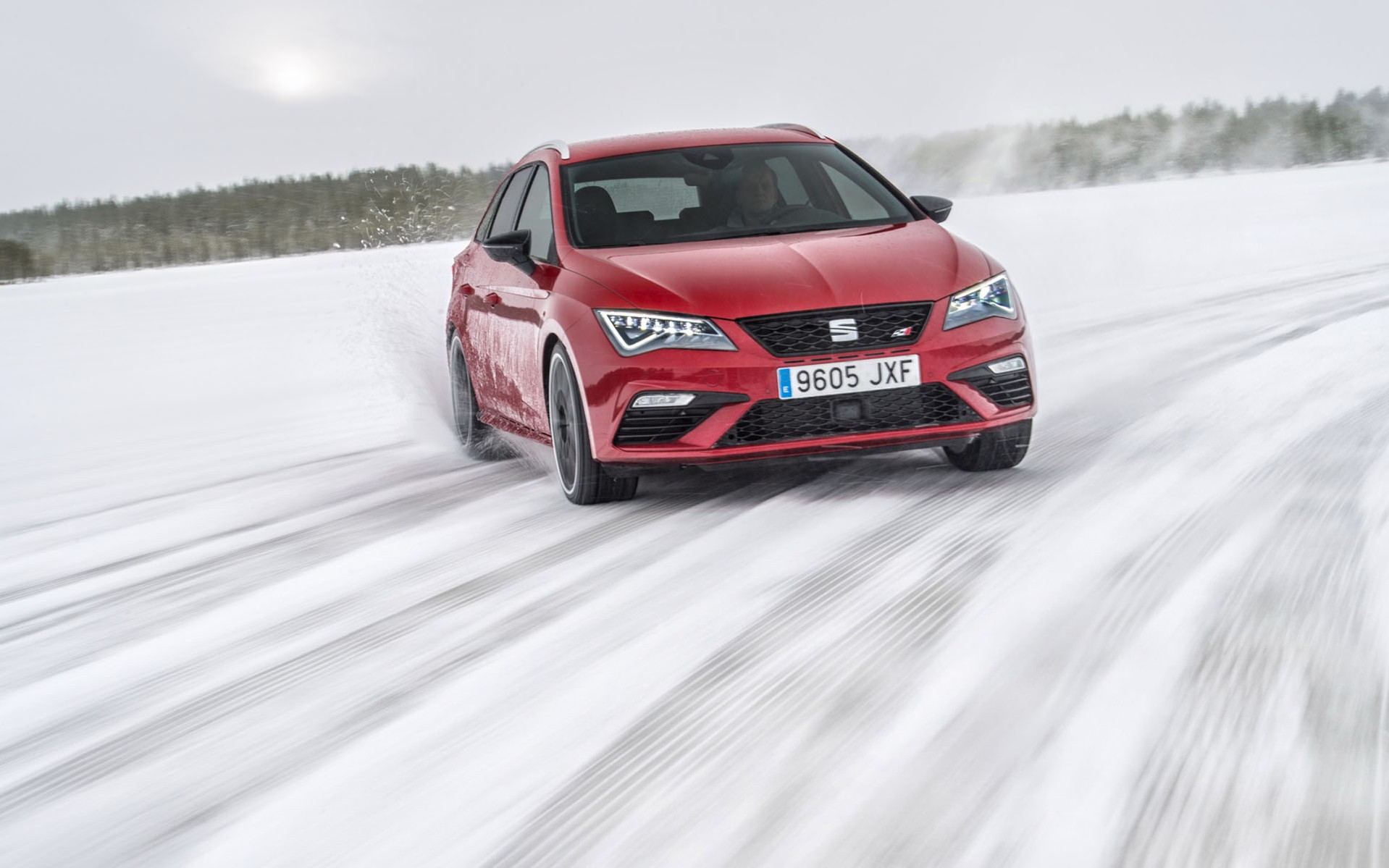 Αυτό είναι το καλύτερο Leon