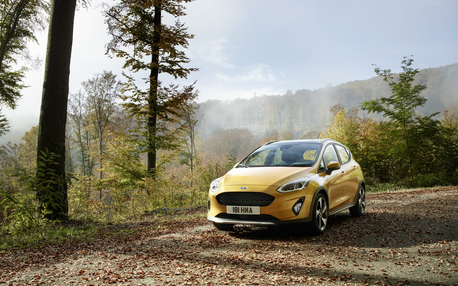 Το Ford Fiesta και σε έκδοση crossover