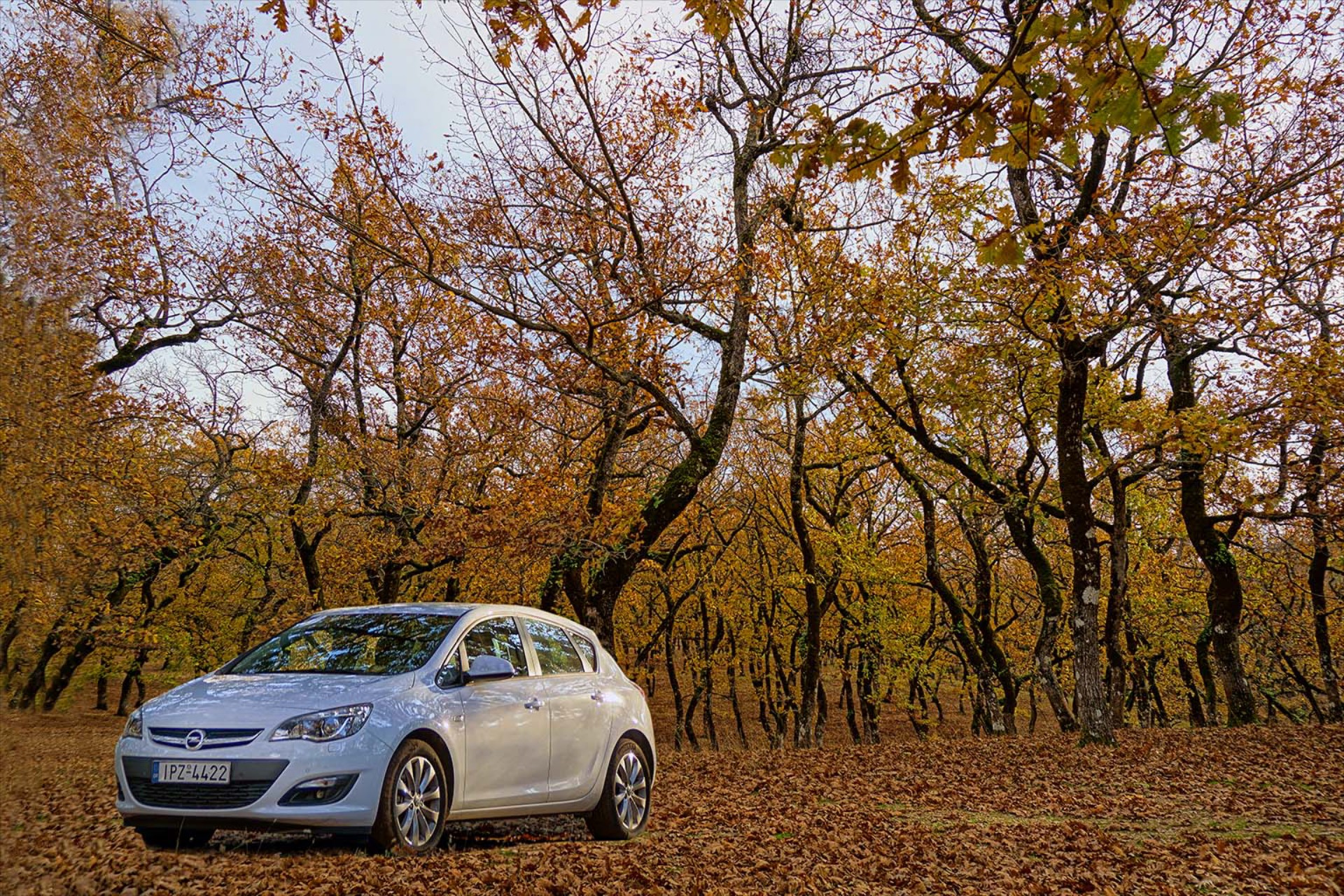 Στο Δάσος της Φολόης με Opel Astra 1.6 diesel