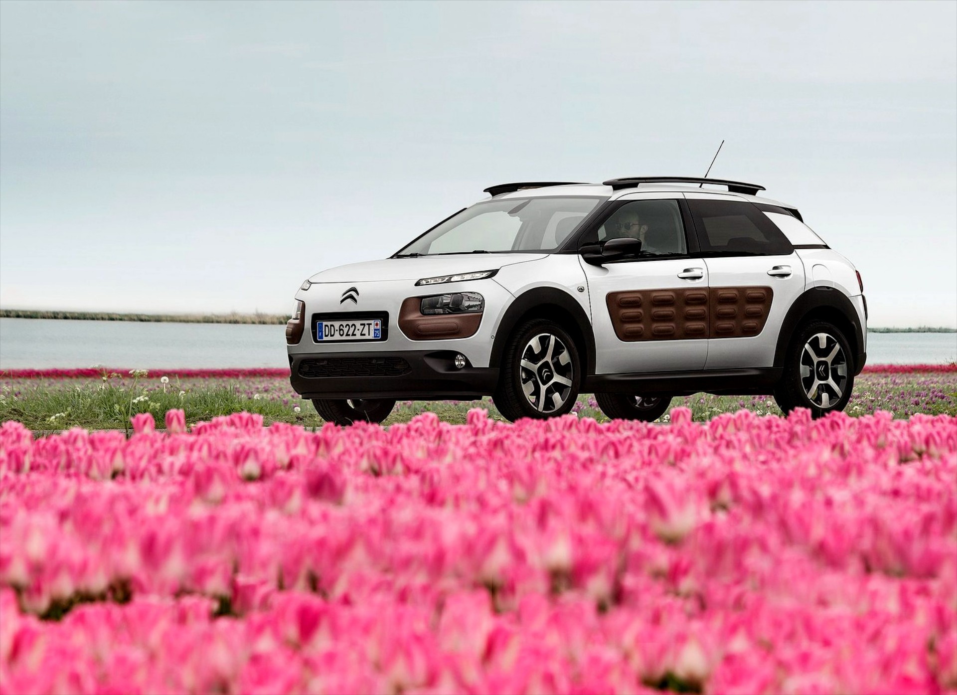 Citroen C4 Cactus από 13.140 € με όφελος απόσυρσης