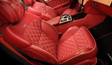 Εσωτερικό από δέρμα… κροκόδειλου