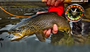 Αυτοκίνητο κορυφαίων προδιαγραφών για… ψάρεμα