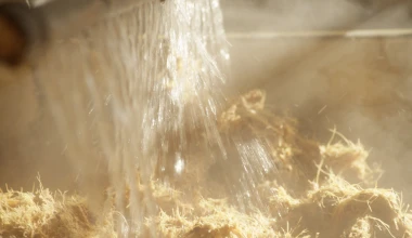 Τι κοινό έχουν τα πλαστικά ενός Ford με την τεκίλα;