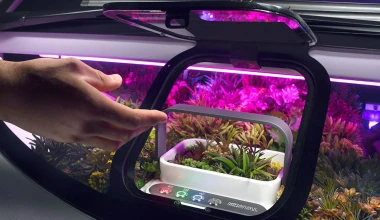 Μία… όαση στη ζούγκλα των πόλεων 