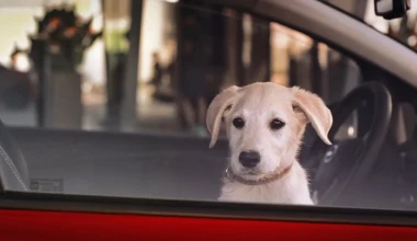 Έρωτας με την πρώτη ματιά!