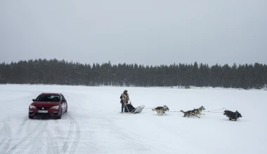 300 άλογα και 6 σκυλιά στα χιόνια (video)