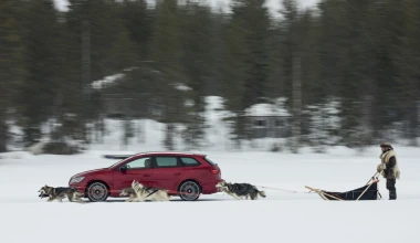300 άλογα και 6 σκυλιά στα χιόνια (video)